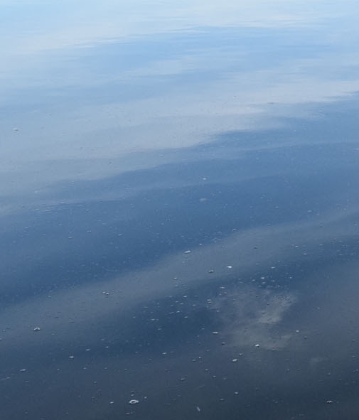 粉象生活怎么赚取佣金