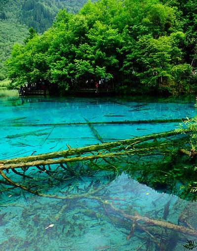 生活中常见的专利小案例