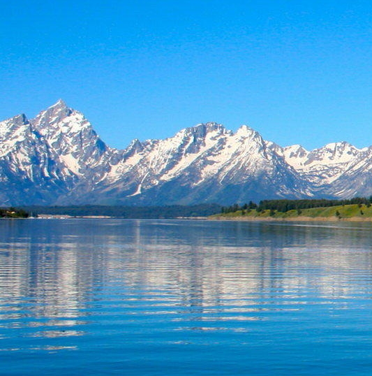 粉象生活引流方法