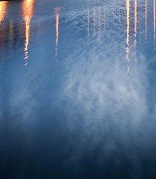 粉象生活邀请码