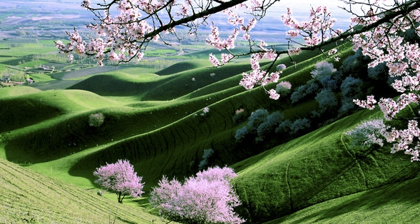 粉象生活我的粉丝佣金