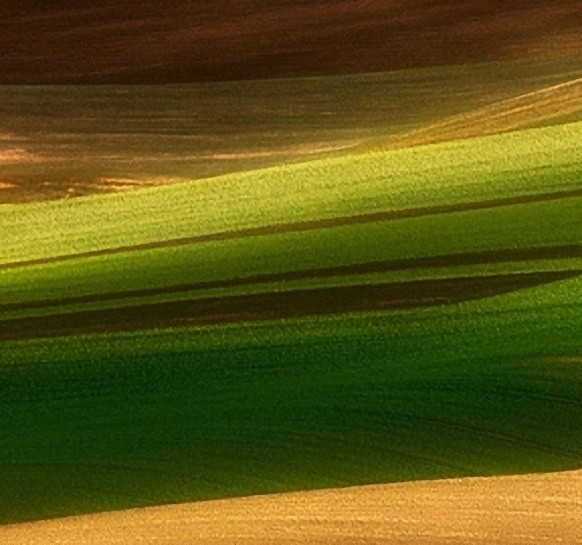 我下载了粉象生活有什么损失吗