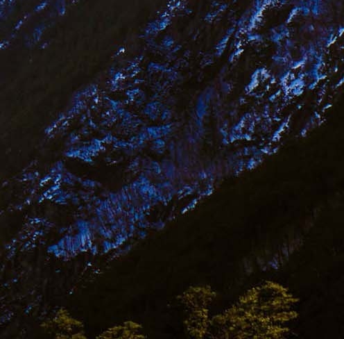 维乐夫菊粉官网