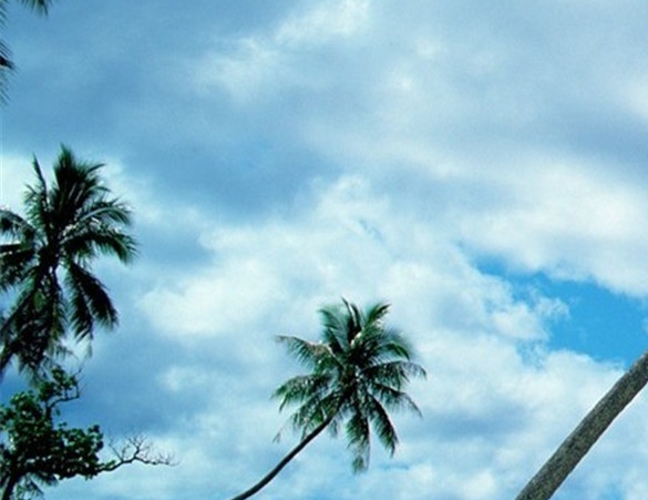 粉象生活官方邀请码哪一个是真的