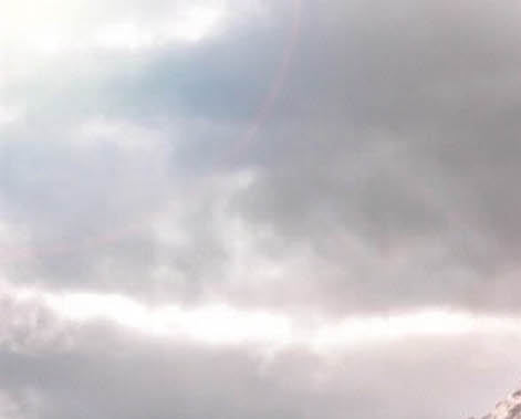 粉象生活在哪里添加粉丝