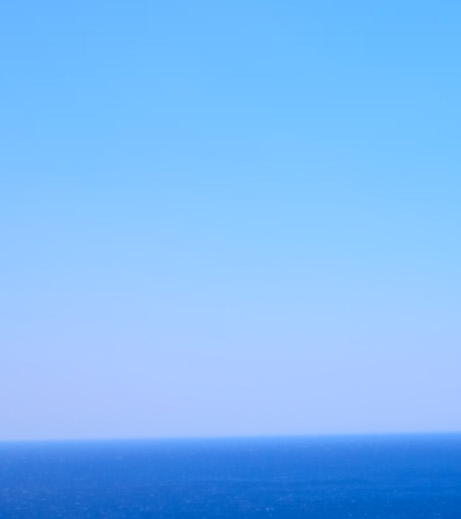 粉象生活靠什么赚钱