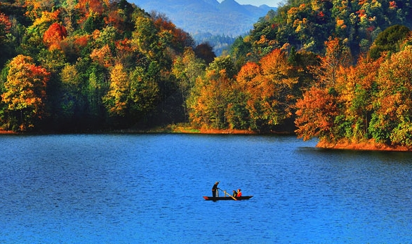 上海口碑粉象生活网站