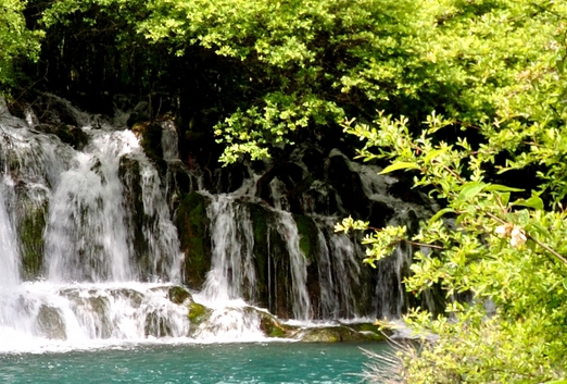 粉象生活客服工作流程