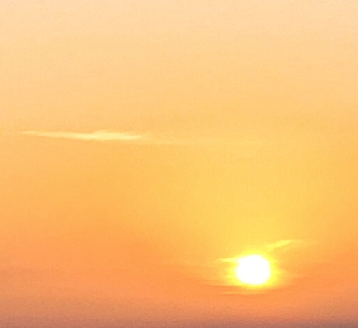 粉象生活邀请码