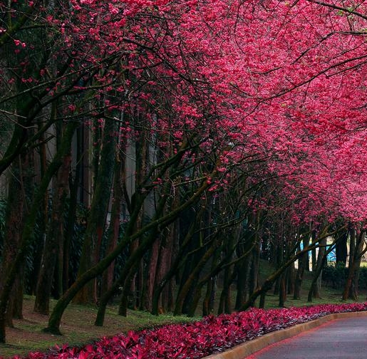 粉象生活怎么中奖几率高