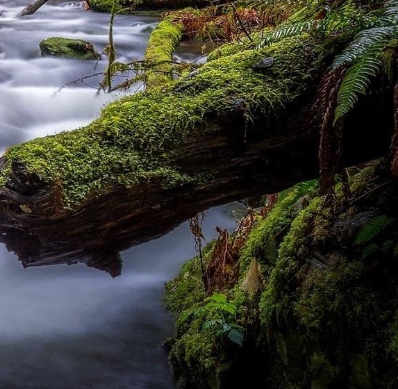 粉象生活裂变教程