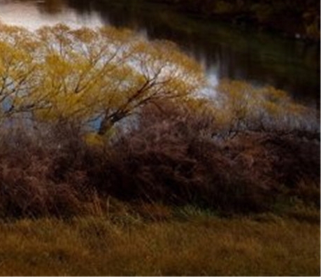 粉象生活杭州总部电话号码