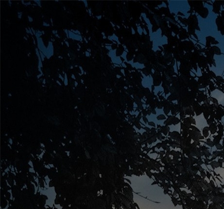 粉象生活怎么投诉淘宝卖家