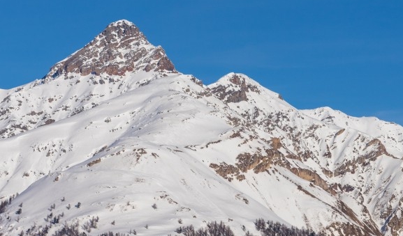 下载粉象生活可靠吗