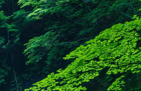 粉象生活怎么用淘宝赚钱