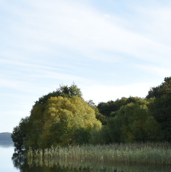 粉象生活升级要交钱吗