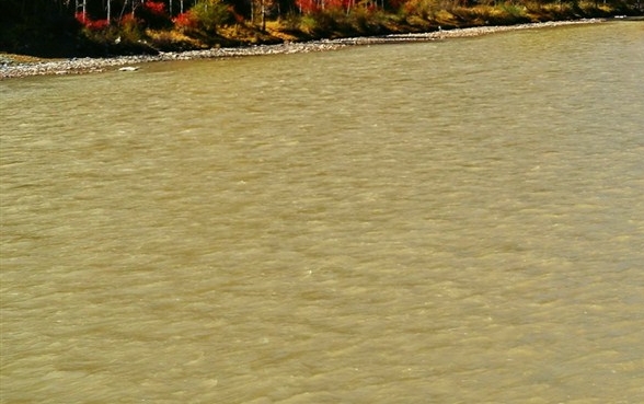 粉象生活可以发文章吗