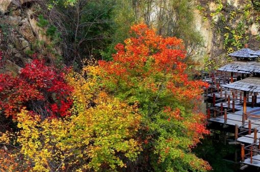 粉象生活怎样下载