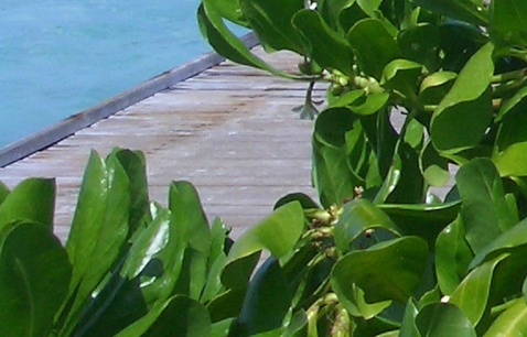 粉象生活粉丝买东西我能赚佣金吗