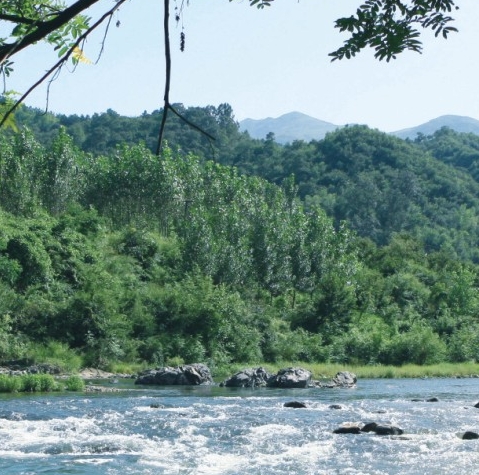 粉象生活如何取消自动续费
