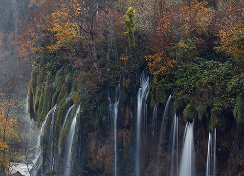 买家投诉卖家的后果