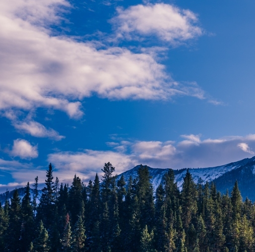 粉象生活怎么推广引流加粉丝