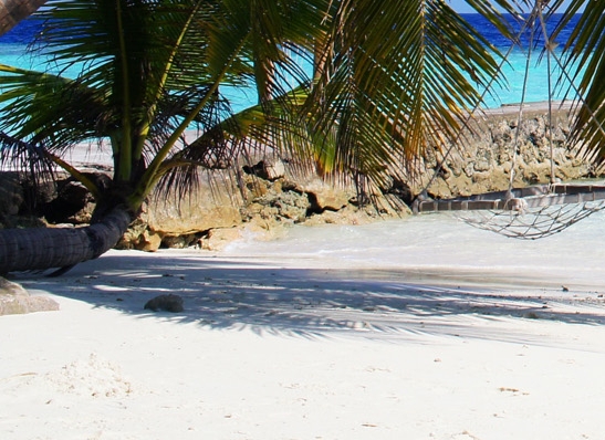 粉象生活可以赚钱吗