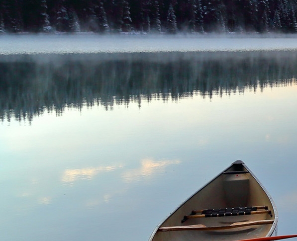 粉象生活推广软文