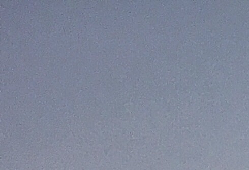 粉象生活加入购物车有返利吗