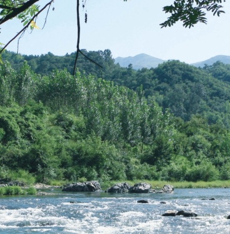 安徽粉象生活可靠吗