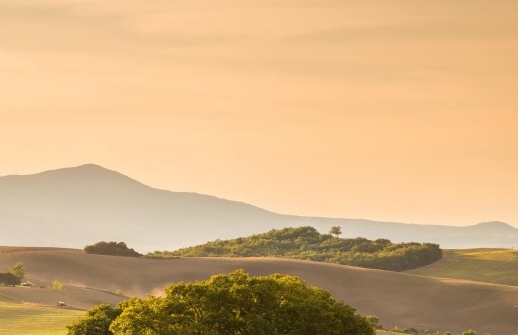 粉象生活粉丝怎么增加