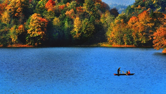 粉象生活为什么值得做