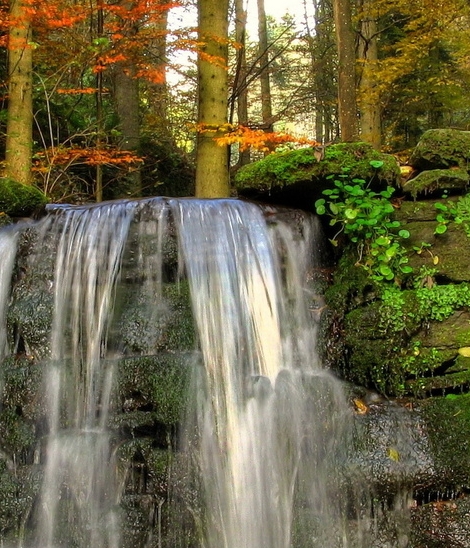 粉象生活和淘宝联盟哪个好