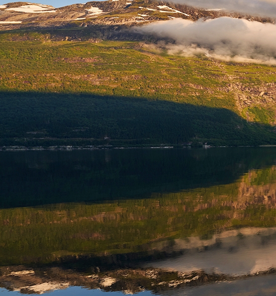 粉象生活邀请id