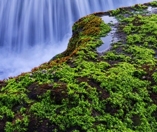 粉象有多少粉丝才能赚钱