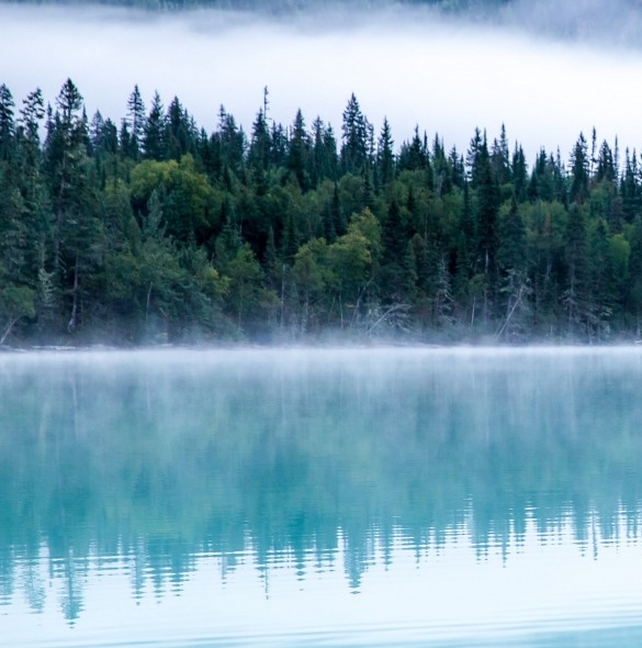 每日一淘和粉象生活哪个好