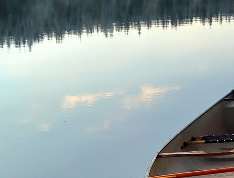 粉象生活招商推广