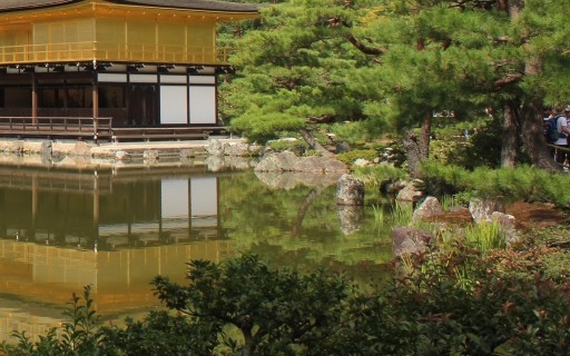 惠州粉象生活合伙人