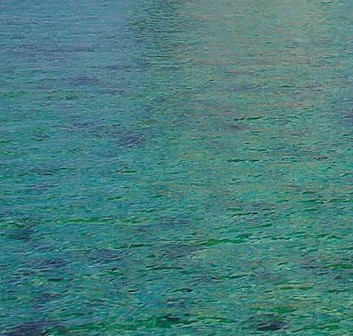 粉象生活下载官方正版