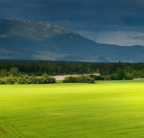 粉象生活卖口罩真的假的