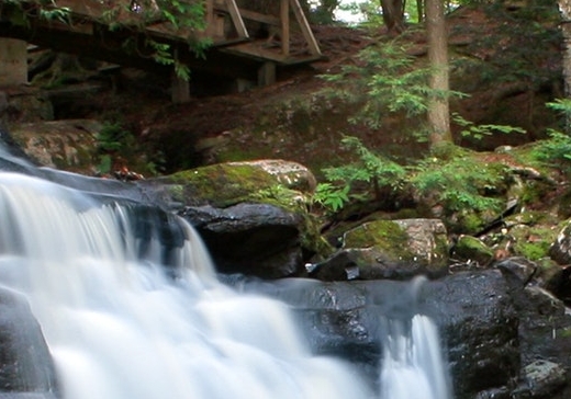 粉象生活合法吗