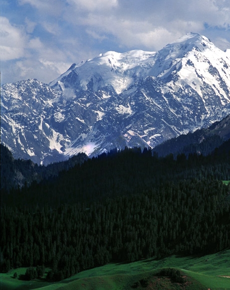 粉象生活推广一个多少钱