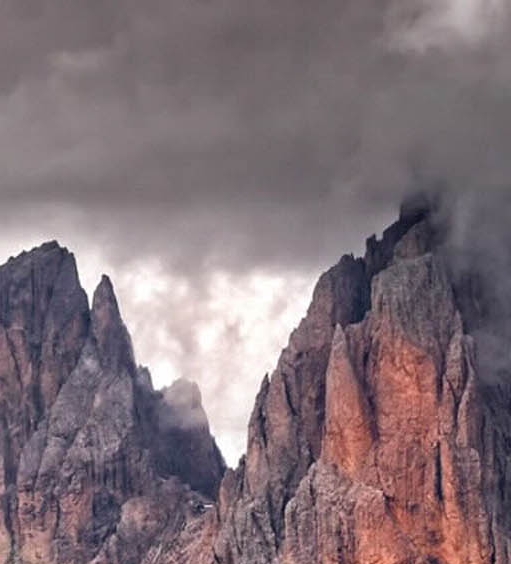 江西创新粉象生活赚钱么