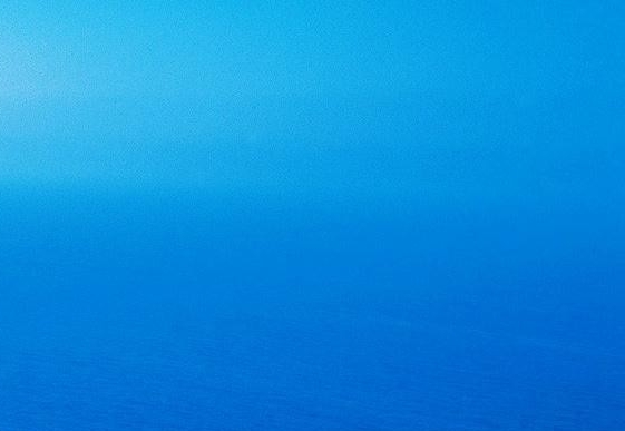 粉象生活是个什么东西