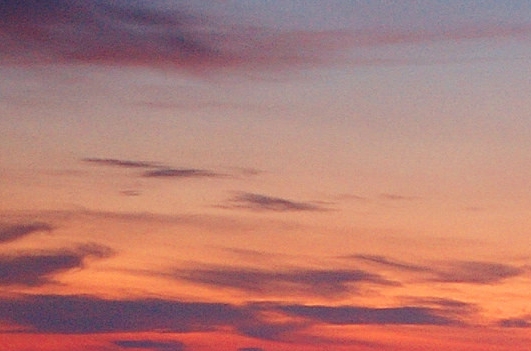 粉象生活官网首页