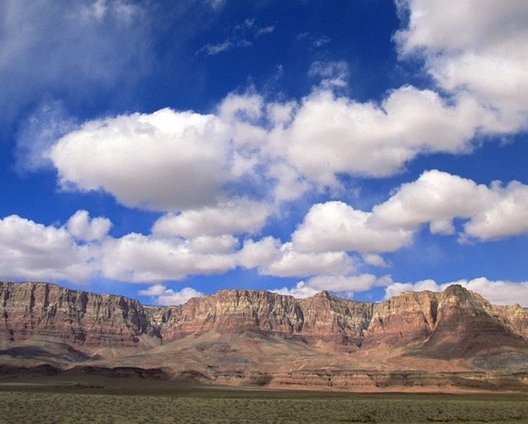 粉象生活怎么赚钱