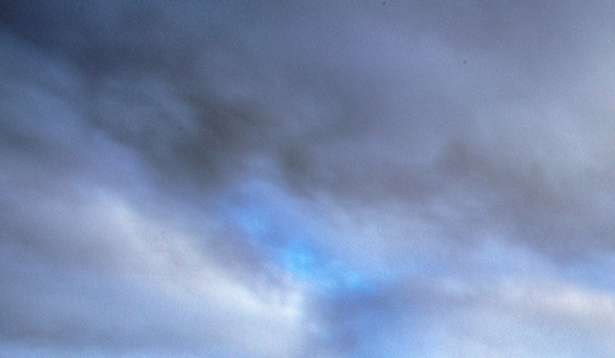 粉象生活是真的假的