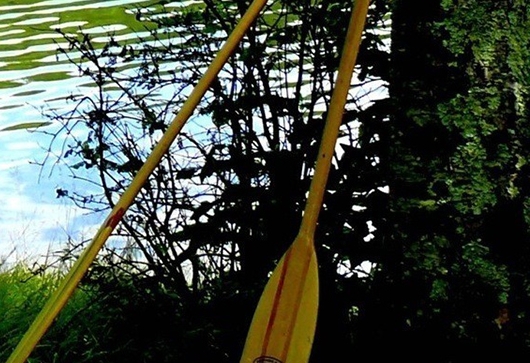 粉象生活粉丝积分怎么样弄