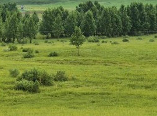 粉象生活官方下单