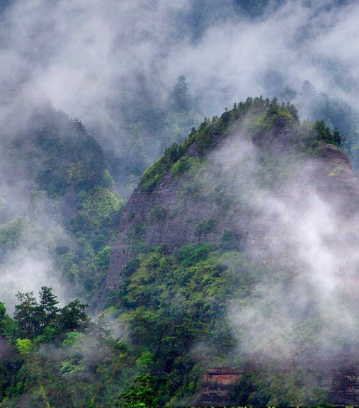 粉象生活操作指南